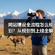 网站建设全流程怎么规划?从规划到上线全解析(图3) 网站建设全流程怎么规划?从规划到上线全解析(图3)