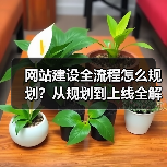 网站建设全流程怎么规划?从规划到上线全解析(图4) 网站建设全流程怎么规划?从规划到上线全解析(图4)