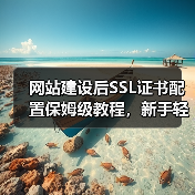 网站建设后SSL证书配置保姆级教程，新手轻松操作必看！（图4）