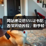 网站建设后SSL证书配置保姆级教程，新手轻松操作必看！（图3）