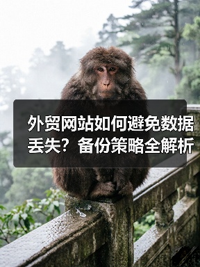外贸网站如何避免数据丢失？备份策略全解析，保障业务安全（图2）