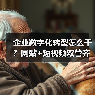 企业数字化转型怎么干？网站+短视频双管齐下（图3）