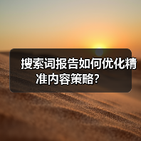 搜索词报告如何优化精准内容策略？（图1）