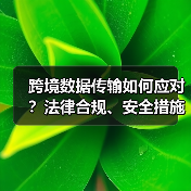 跨境数据传输如何应对？法律合规、安全措施与技术方案全解析（图3）
