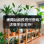 建网站能按月付费吗？这些平台支持！（图4）