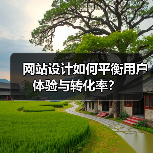 网站设计如何平衡用户体验与转化率？（图3）
