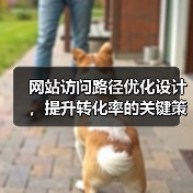 网站访问路径优化设计，提升转化率的关键策略？（图1）