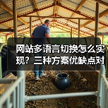 网站多语言切换怎么实现？三种方案优缺点对比分析（图3）