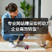 专业网站建设如何助力企业高效转型？（图1）