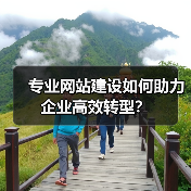 专业网站建设如何助力企业高效转型？（图4）