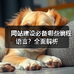 网站建设必备哪些编程语言？全面解析（图1）