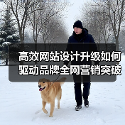 高效网站设计升级如何驱动品牌全网营销突破？（图4）