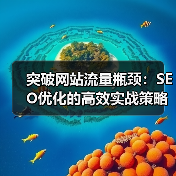 突破网站流量瓶颈:SEO优化的高效实战策略(图3) 突破网站流量瓶颈:SEO优化的高效实战策略(图3)