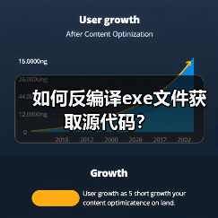 如何反编译exe文件获取源代码?(图1) 如何反编译exe文件获取源代码?(图1)