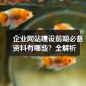 企业网站建设前期必备资料有哪些?全解析(图2) 企业网站建设前期必备资料有哪些?全解析(图2)