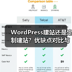 WordPress建站还是定制建站?优缺点对比与选择建议(图1) WordPress建站还是定制建站?优缺点对比与选择建议(图1)