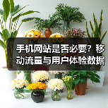 手机网站是否必要?移动流量与用户体验数据揭秘(图2) 手机网站是否必要?移动流量与用户体验数据揭秘(图2)