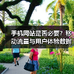 手机网站是否必要?移动流量与用户体验数据揭秘(图3) 手机网站是否必要?移动流量与用户体验数据揭秘(图3)