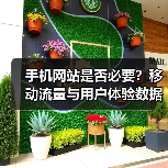 手机网站是否必要?移动流量与用户体验数据揭秘(图4) 手机网站是否必要?移动流量与用户体验数据揭秘(图4)