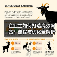 企业主如何打造高效网站?流程与优化全解析(图2) 企业主如何打造高效网站?流程与优化全解析(图2)