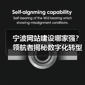 宁波网站建设哪家强?领航者揭秘数字化转型策略(图4) 宁波网站建设哪家强?领航者揭秘数字化转型策略(图4)
