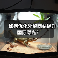 如何优化外贸网站提升国际曝光?(图1) 如何优化外贸网站提升国际曝光?(图1)