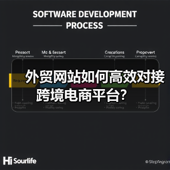 外贸网站如何高效对接跨境电商平台?(图3) 外贸网站如何高效对接跨境电商平台?(图3)