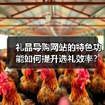 礼品导购网站的特色功能如何提升选礼效率?(图2) 礼品导购网站的特色功能如何提升选礼效率?(图2)