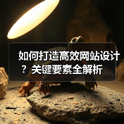 如何打造高效网站设计?关键要素全解析(图2) 如何打造高效网站设计?关键要素全解析(图2)
